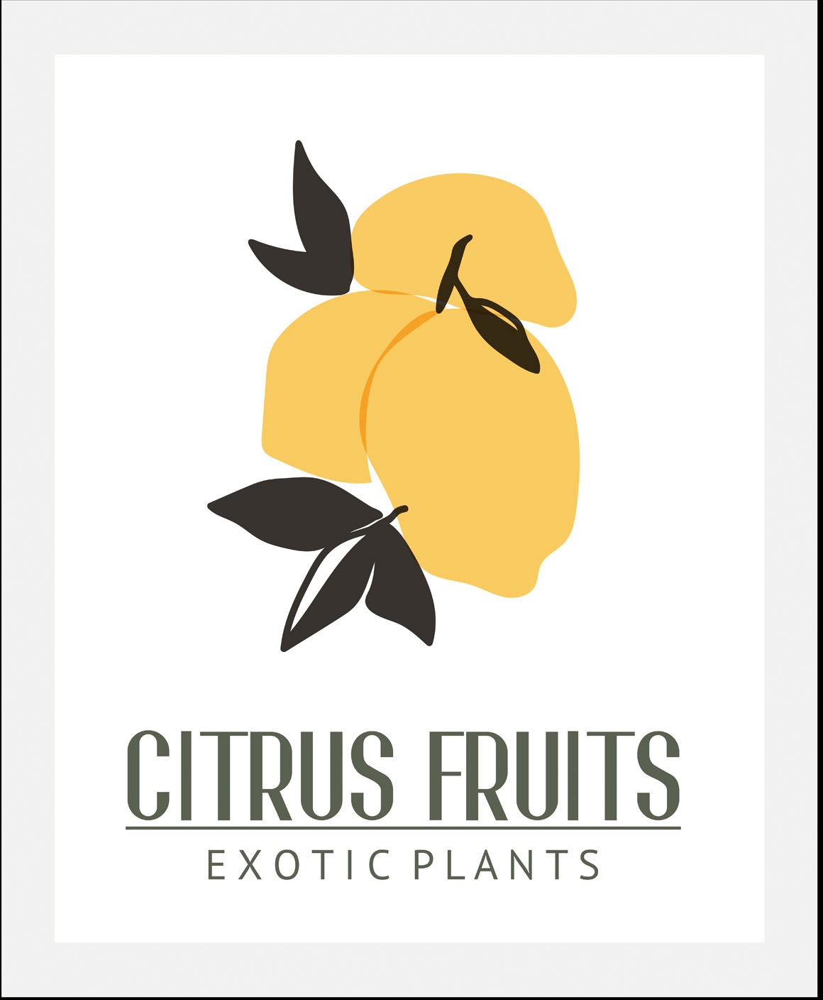 queence Bild »Citrus Fruits« Essen | Kunst | Lebensmittel | Obst | Obst Bilder | Schriftzug 1 Stk. tlg. gerahmt