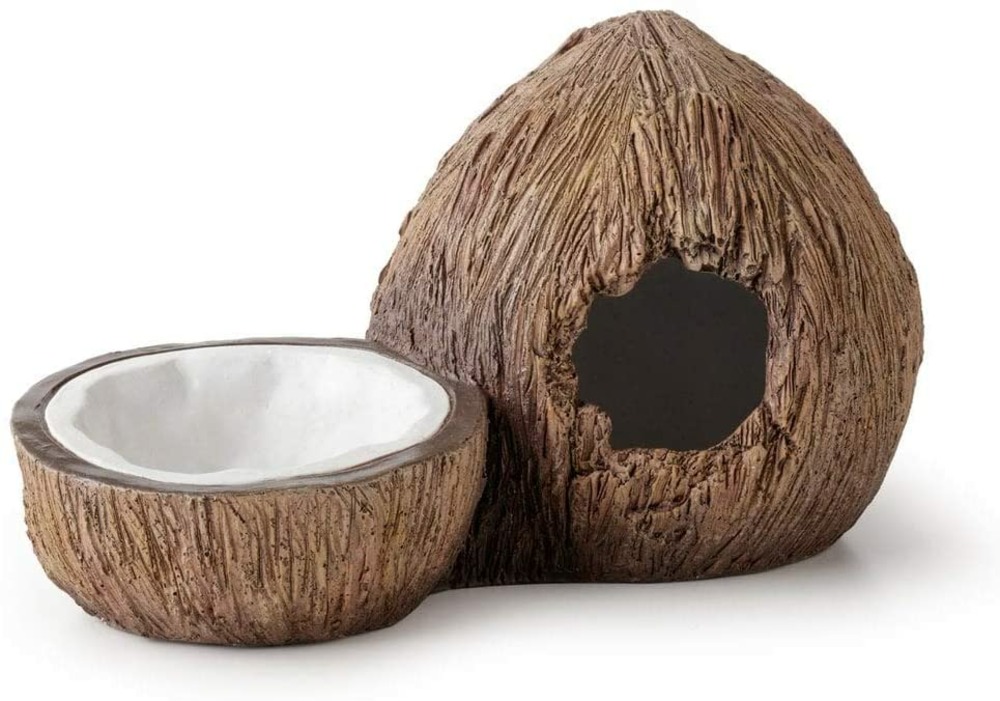 Cachette avec bol à eau noix de coco reptiles