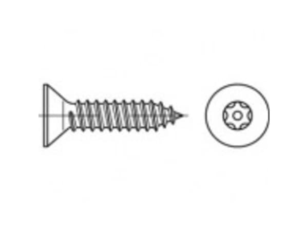 TOOLCRAFT TO-5380179 Sikkerhedsskruer 5.5 mm 16 mm Invendig sekskant 88115 Rustfrit stål A2 100 stk