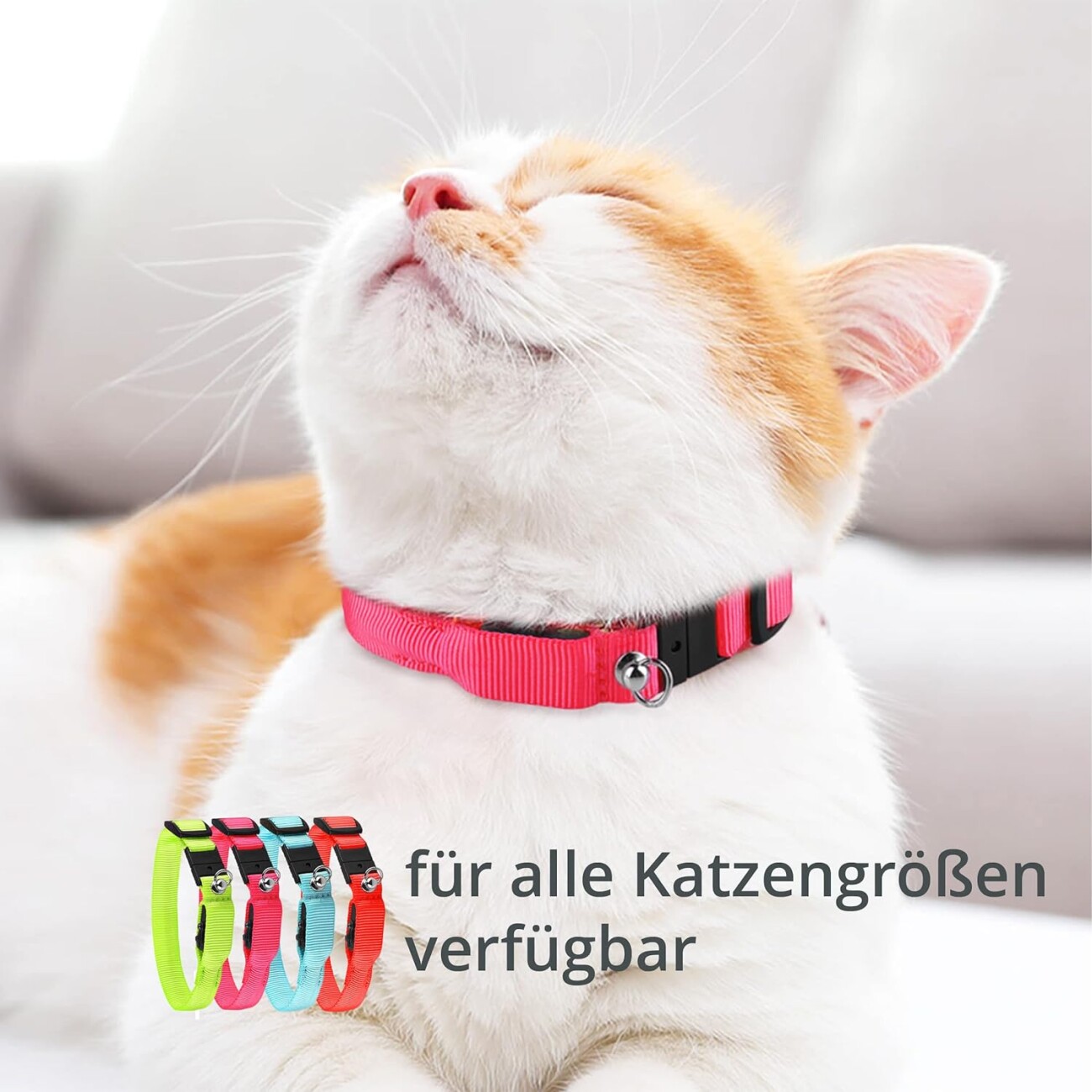 Petsation leuchtendes Katzenhalsband M-L blau