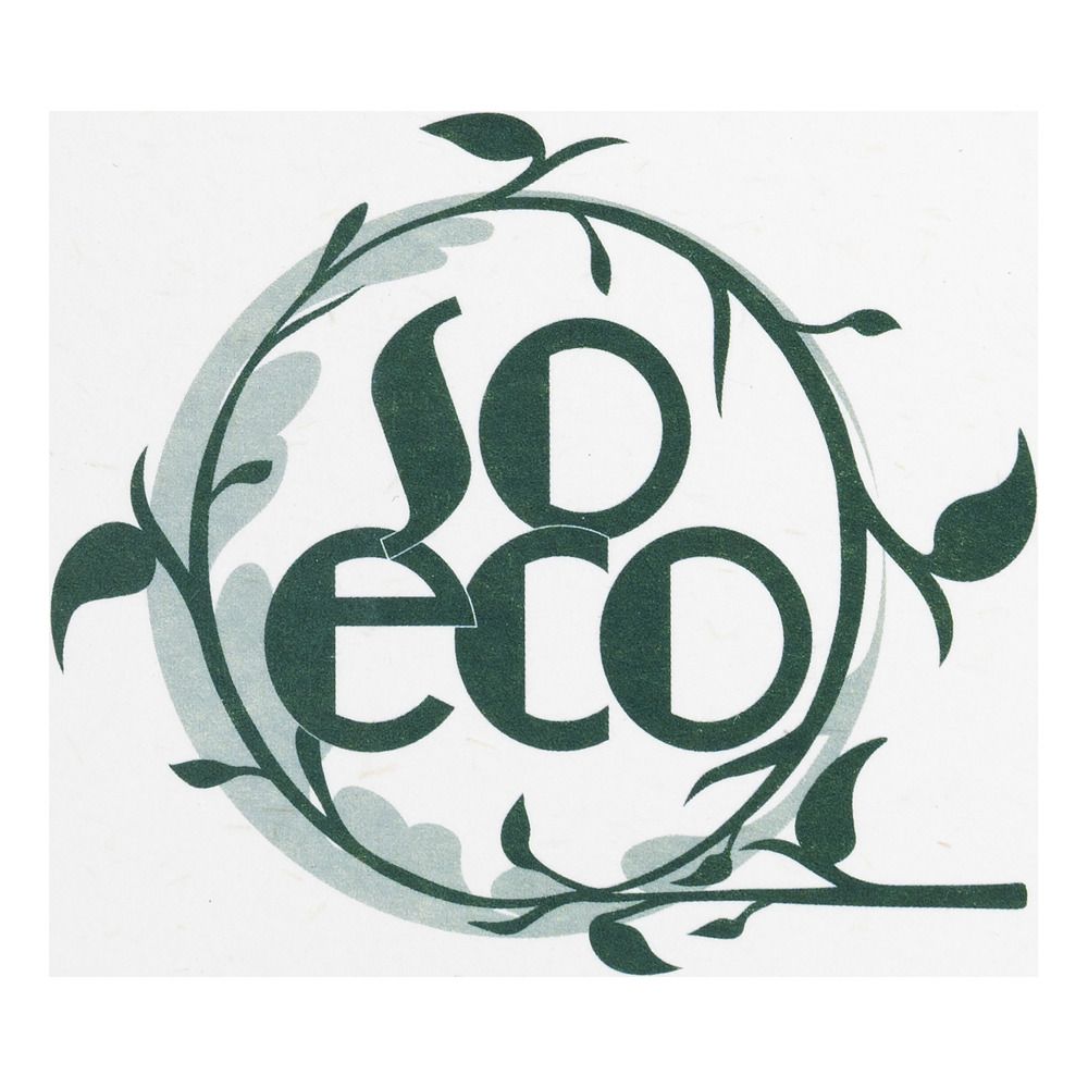 So Eco Pedicure Foot Rasp