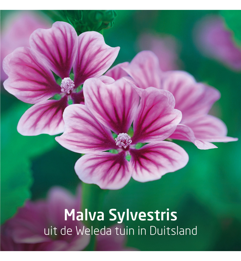 WELEDA Visiodoron malva oogdruppels 0.4ml (10 stuks)