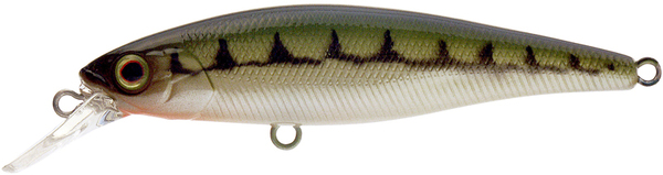 Illex Squad Minnow