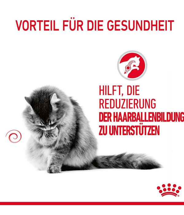 ROYAL CANIN® Trockenfutter für Katzen