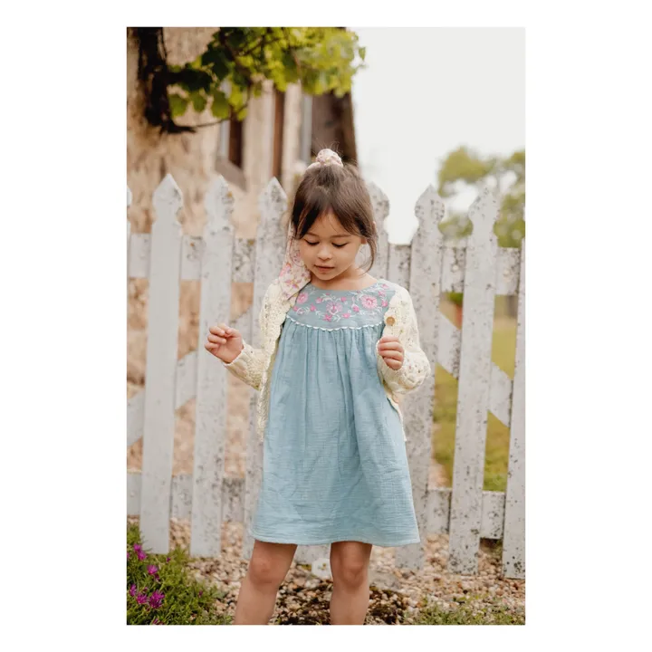 Louise Misha Robe Aria Brodée | Bleu