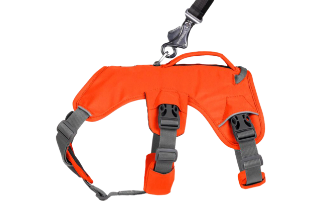 Ruffwear Web Master Hundegeschirr mit Handschlaufe