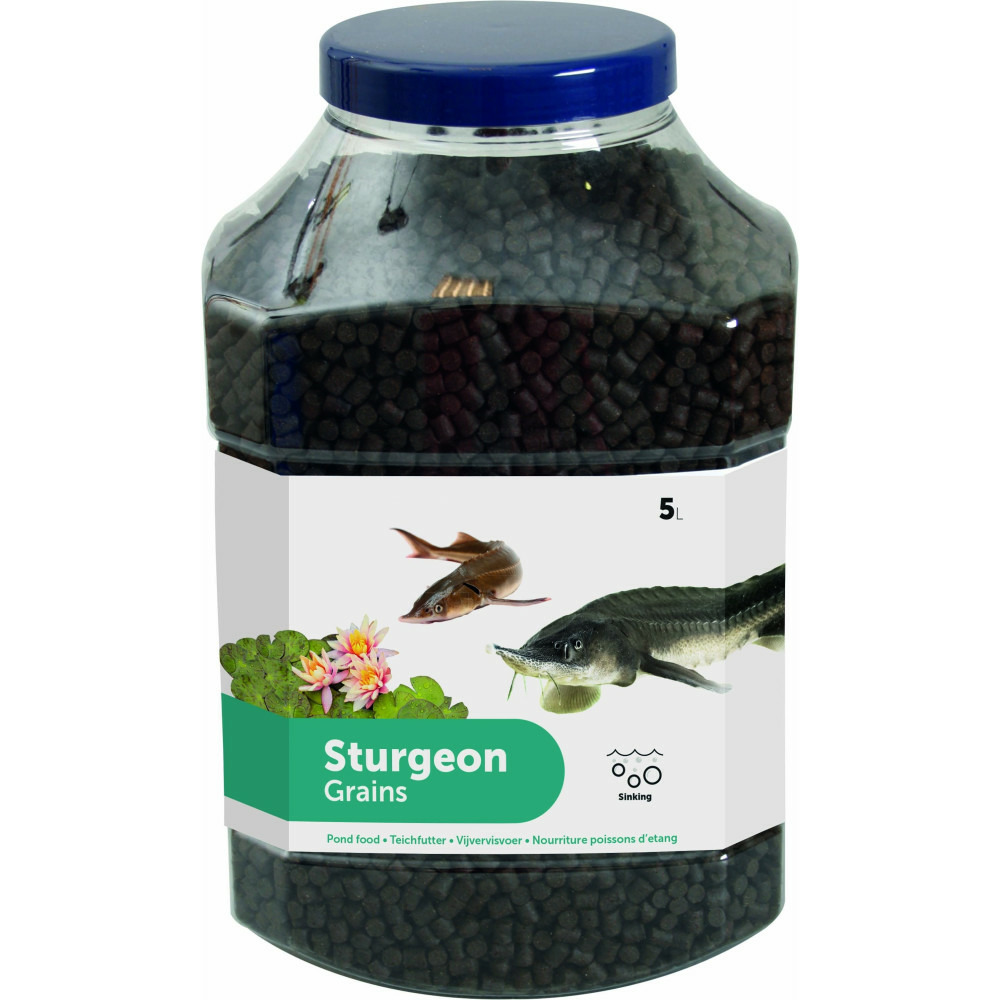 Esturgeons nourriture en granulés ø 6 mm 5 litres