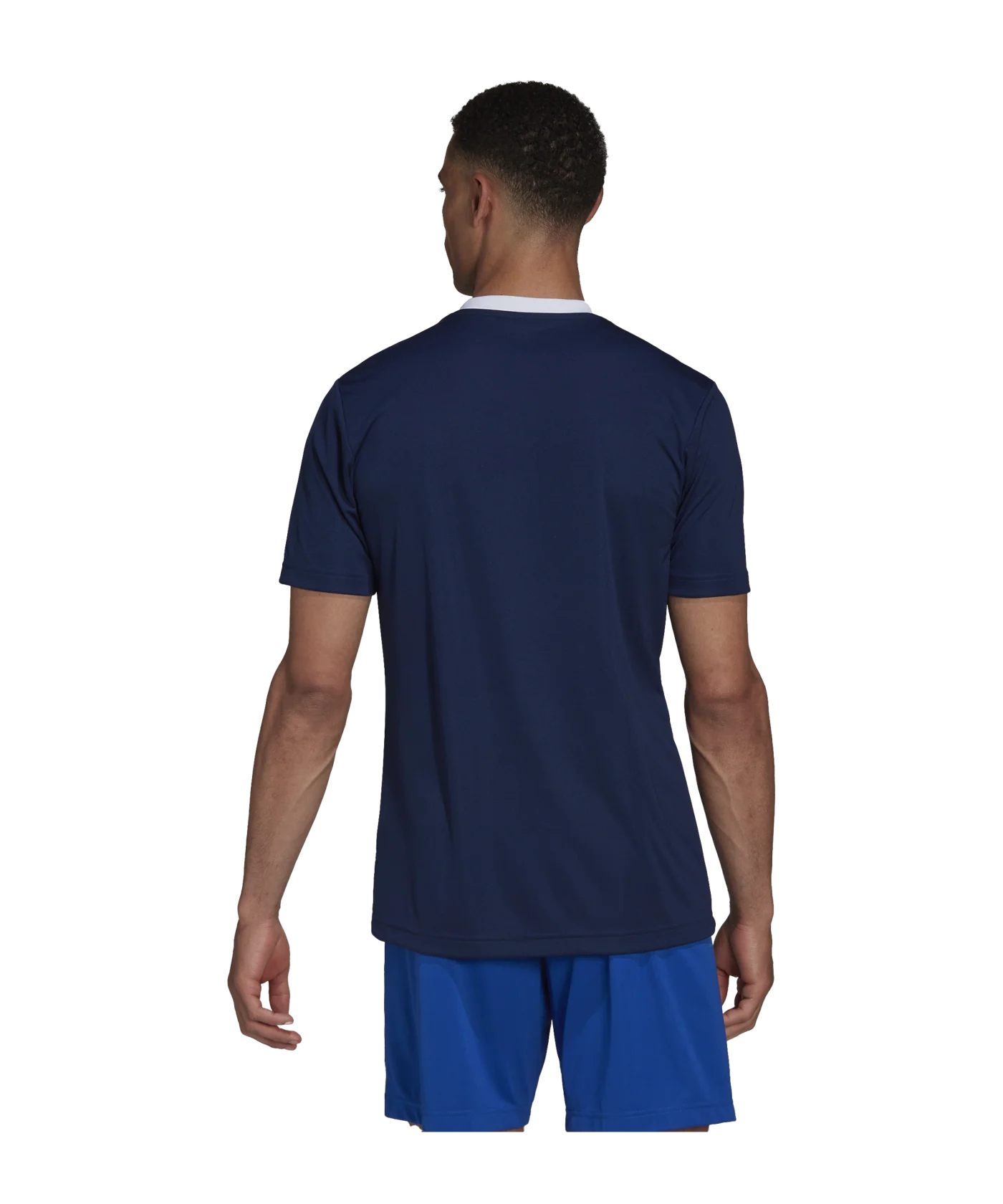 adidas Entrada 22 Trikot Blau