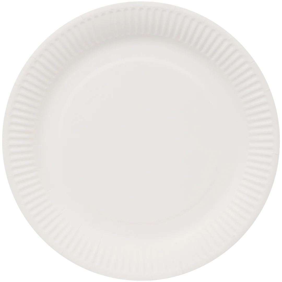 Assiettes en carton