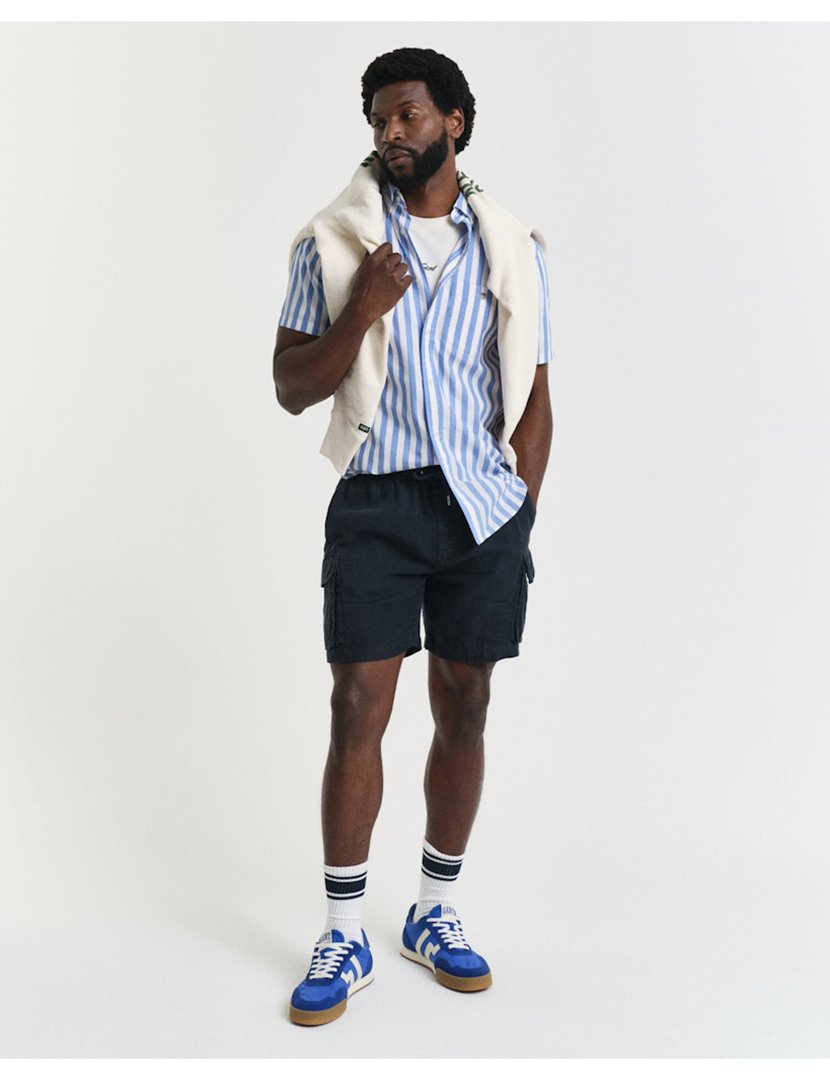 Classic Short Sleeve Stripe Shirt Blue