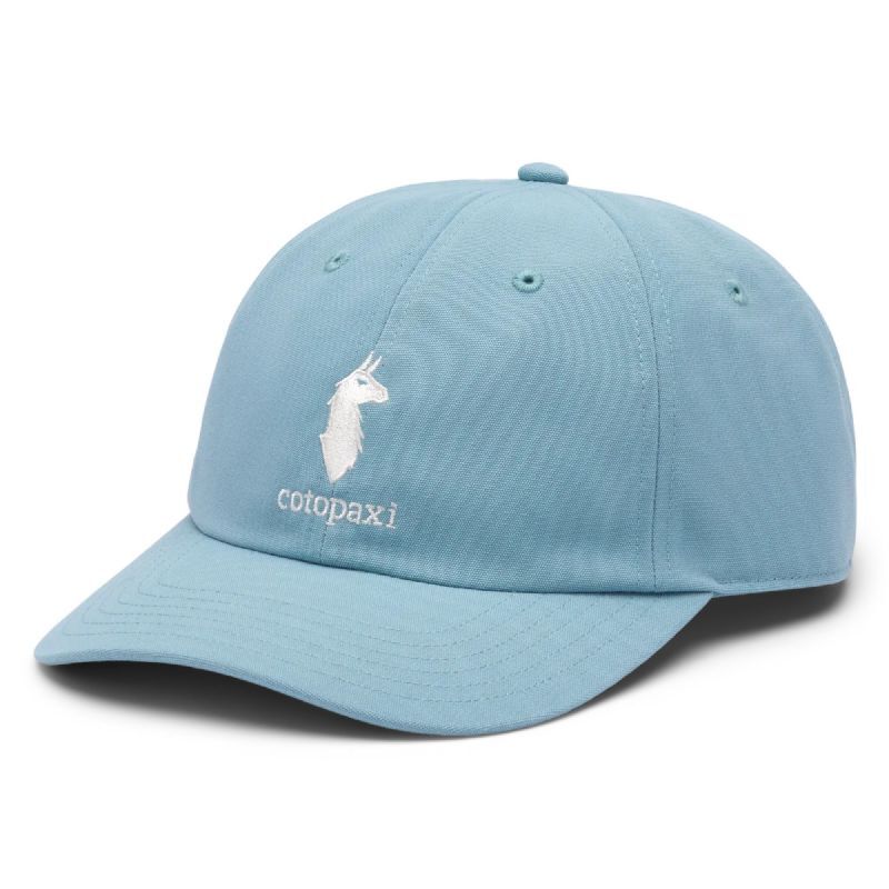 Dad Hat - Casquette