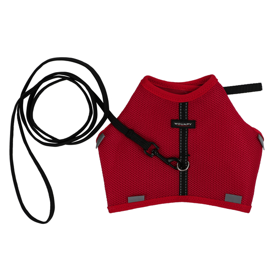 Harnais rouge soft avec laisse 10x120mm pour chat