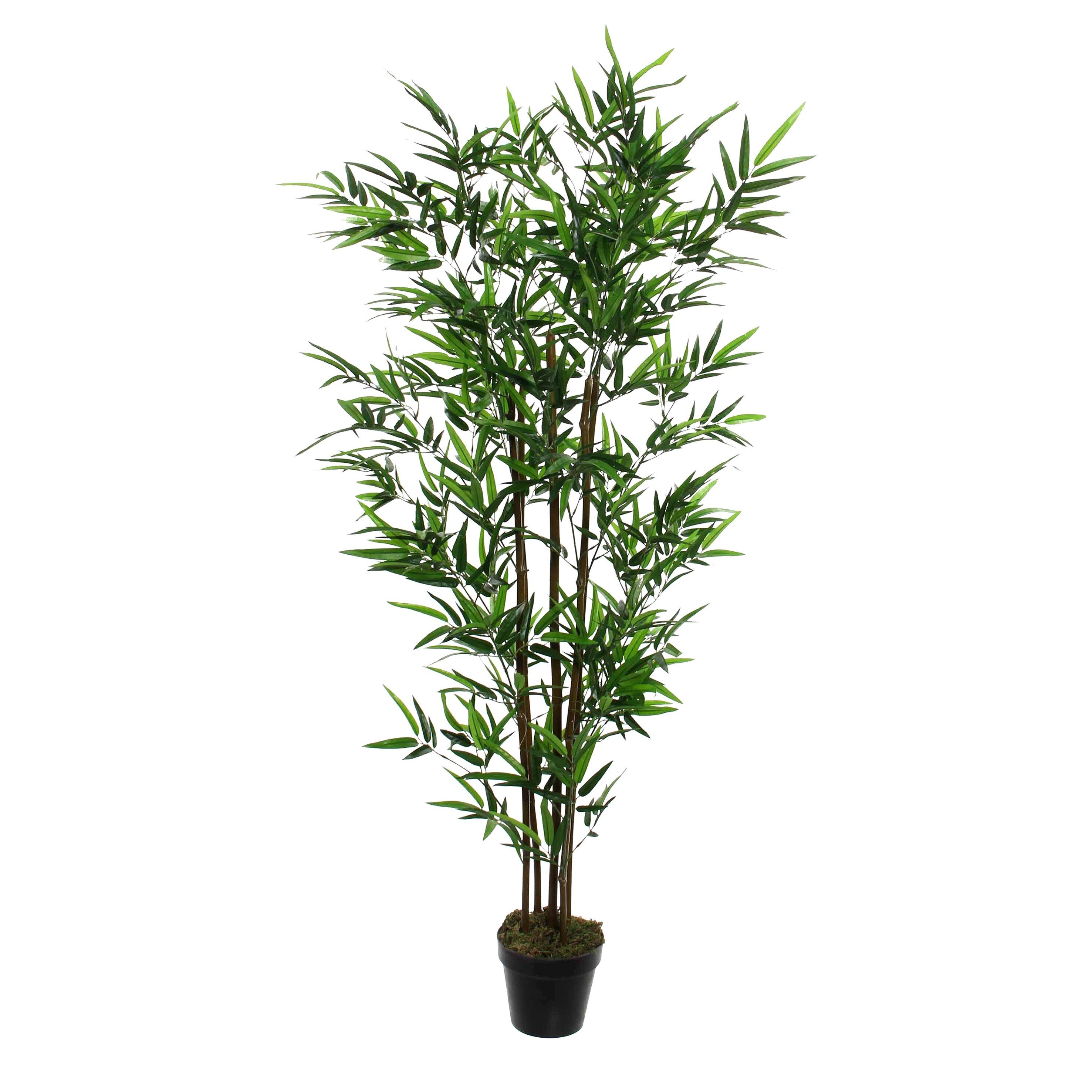 Mica Decorations Bamboe in pot groen - h155xd90cm