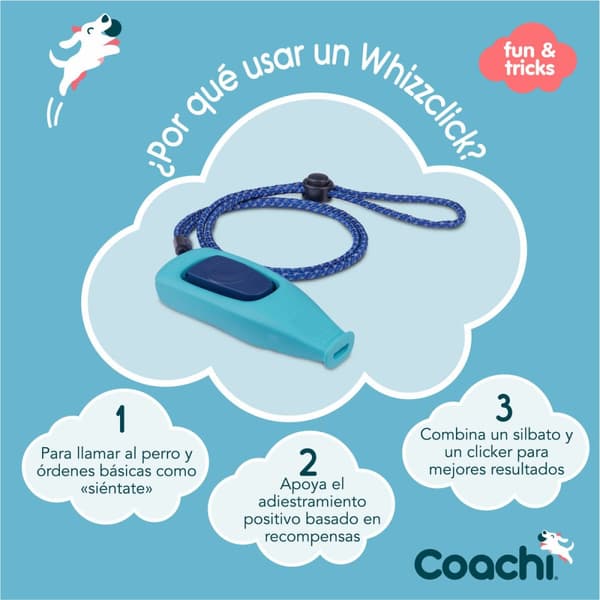 Fløyte Coachi