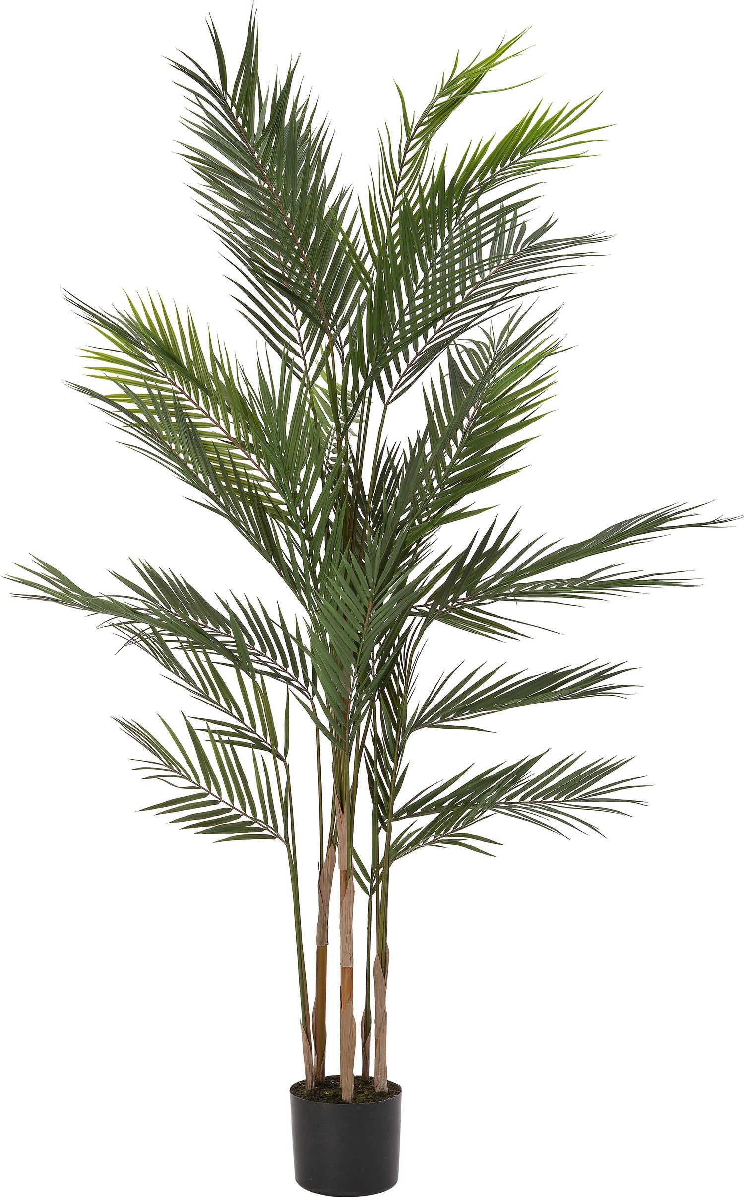 Intratuin kunstplant Palm geel 81 x 81 x 152 cm