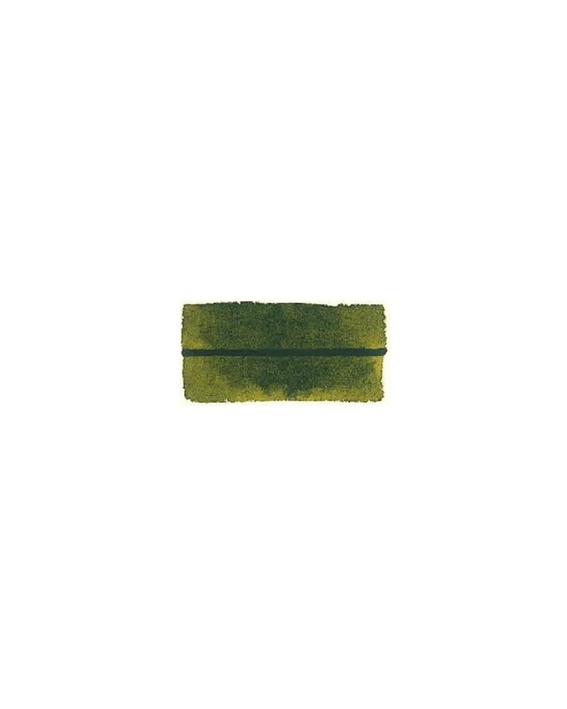 Vert Olive - 365