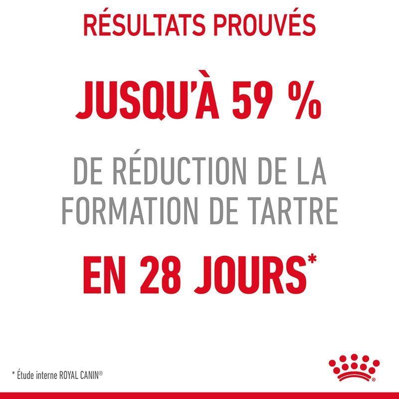 Royal Canin Dental Care à prix discount sur bitiba.fr