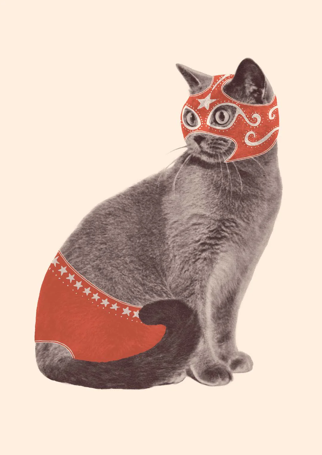 Cat Wrestler von Florent Bodart
