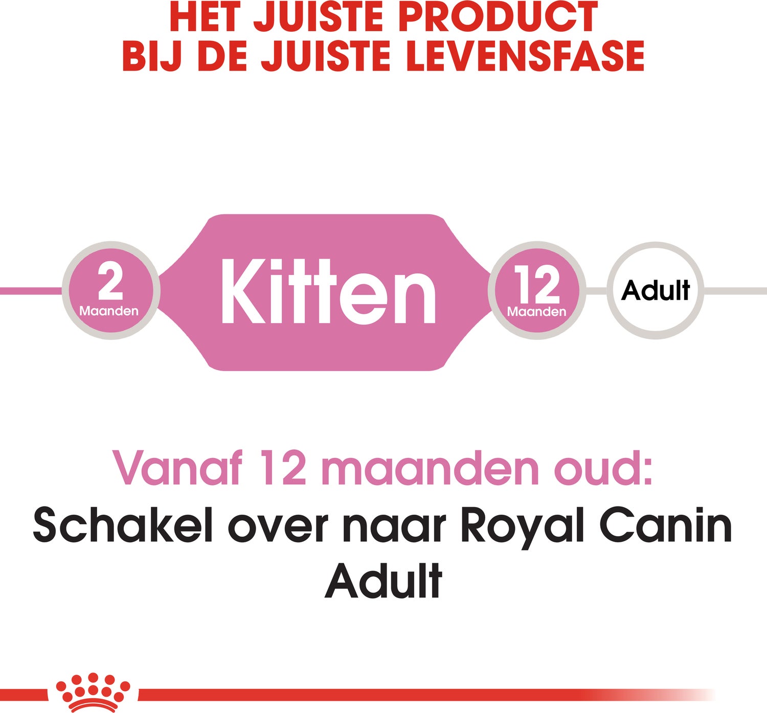 Royal Canin kattenvoer kitten 400 g