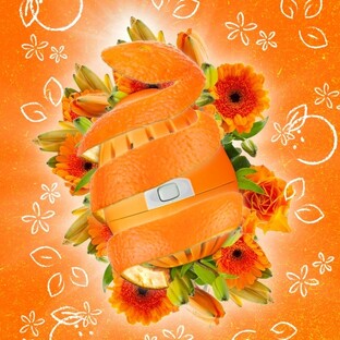 Eco Egg Laundry Egg Orange Blossom 1ST