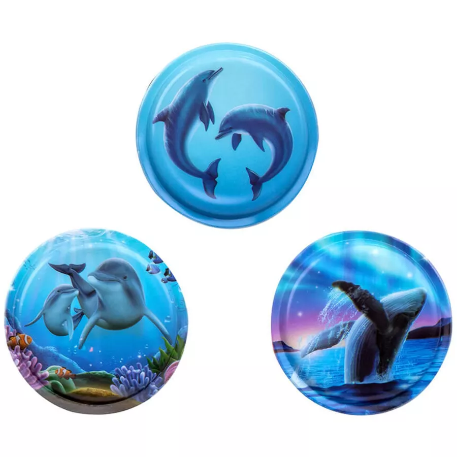 Belmil Patch Belmil Patches mit Klettverschluss Set 3-teilig Under the Sea