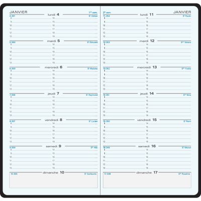 Agenda de poche Winner SL 17 - 1 semaine sur 2 pages - 9 x 17,5 cm - disponible dans différentes couleurs - Exacompta