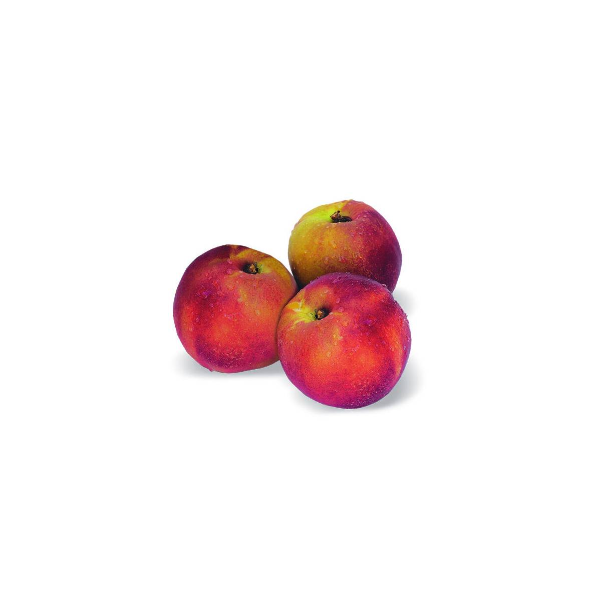 Nectarinier nain nectarinette® - nain de jardin®/prunus persica nectarinette® - nain de jardin®[-]pot de 5l