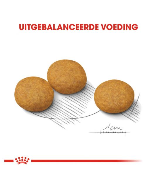 Royal Canin Dermacomfort Medium - Hondenvoer