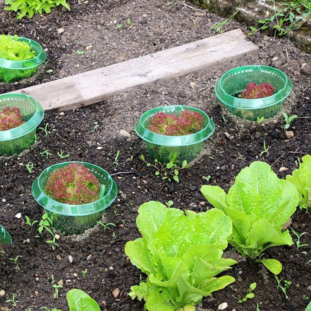 (10er Set) 11.5x24cm Salatring Schneckenkragen Garten Schnecken Barriere Salat Schutz