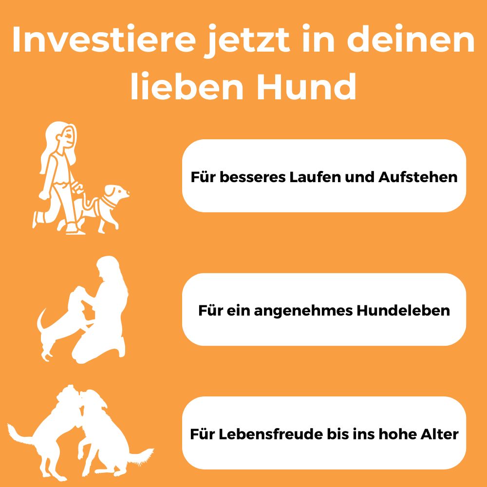 Dog-Native MSM Pulver für Hunde