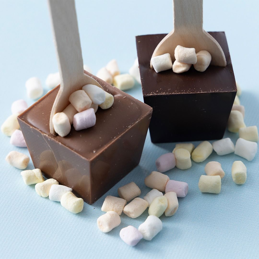 Chocolade lepels melk/puur