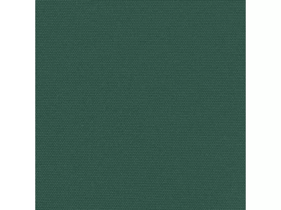 Auvent latéral rétractable vert foncé 100x300