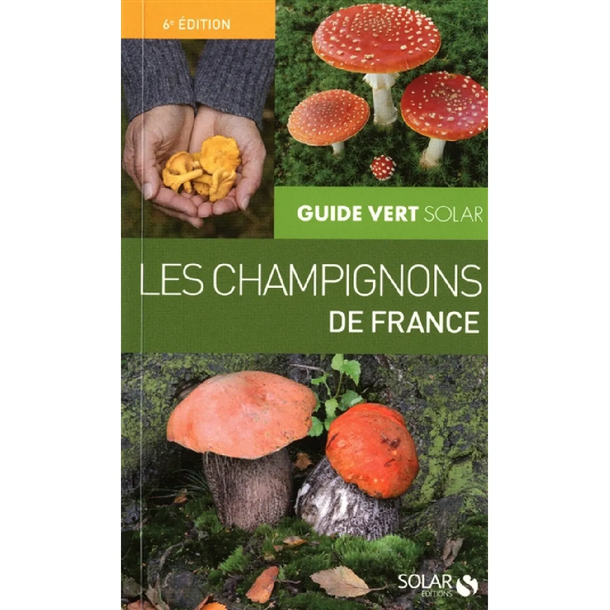 Les champignons de France · Occasion