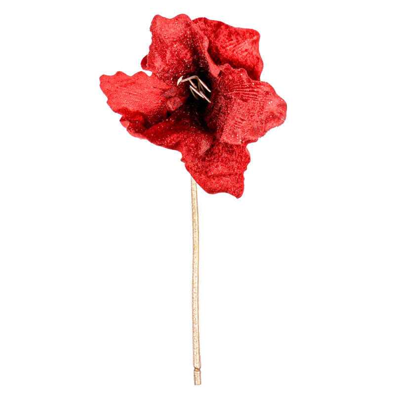 Tige 'Amaryllis' velours rouge