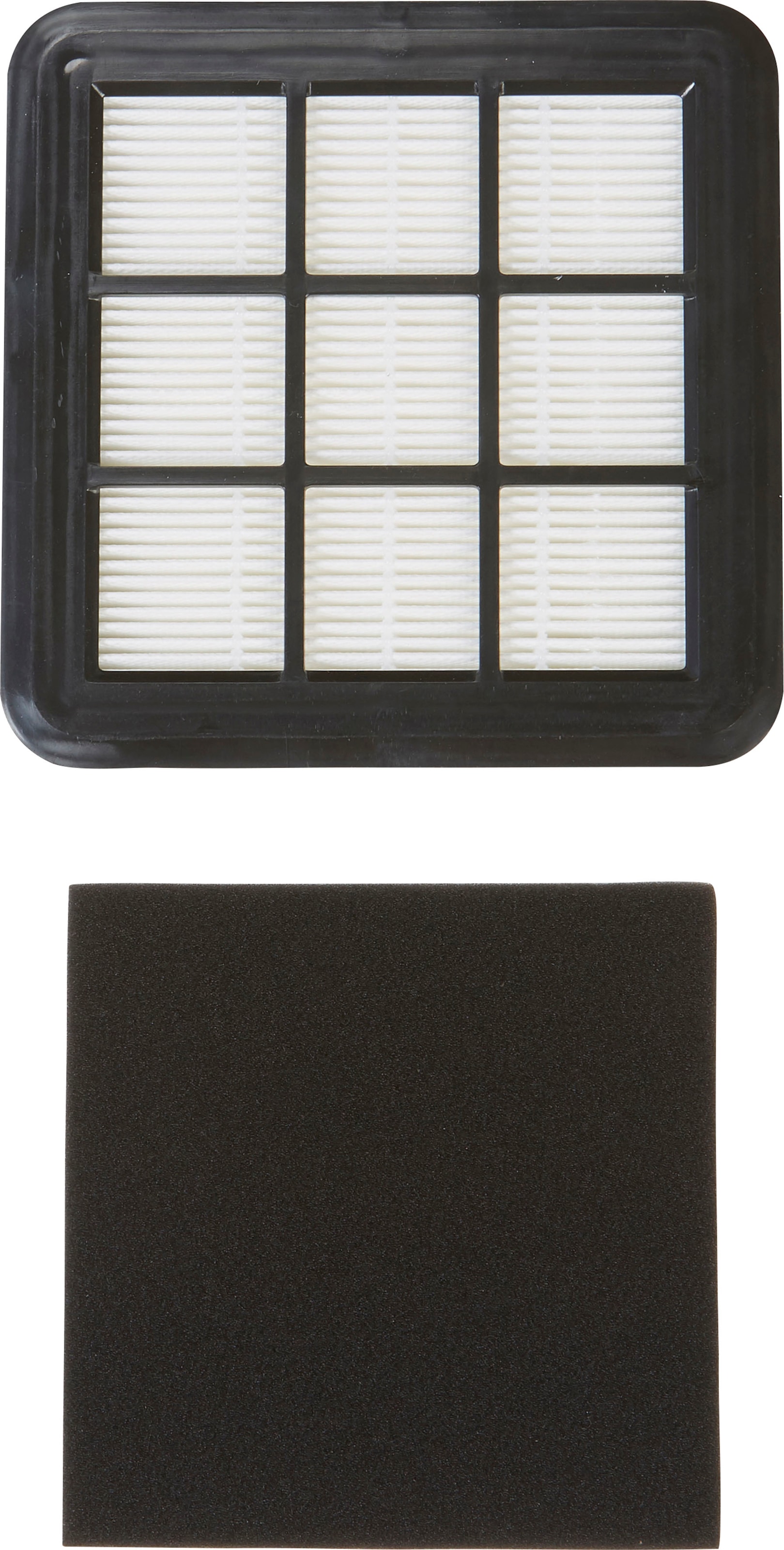 Hanseatic Filter-Set »Inlet-Filter für CJ171JCPQ« Packung, 1x Hygienefilter + 1x Motorschutzfilter, 2 Stk. tlg.