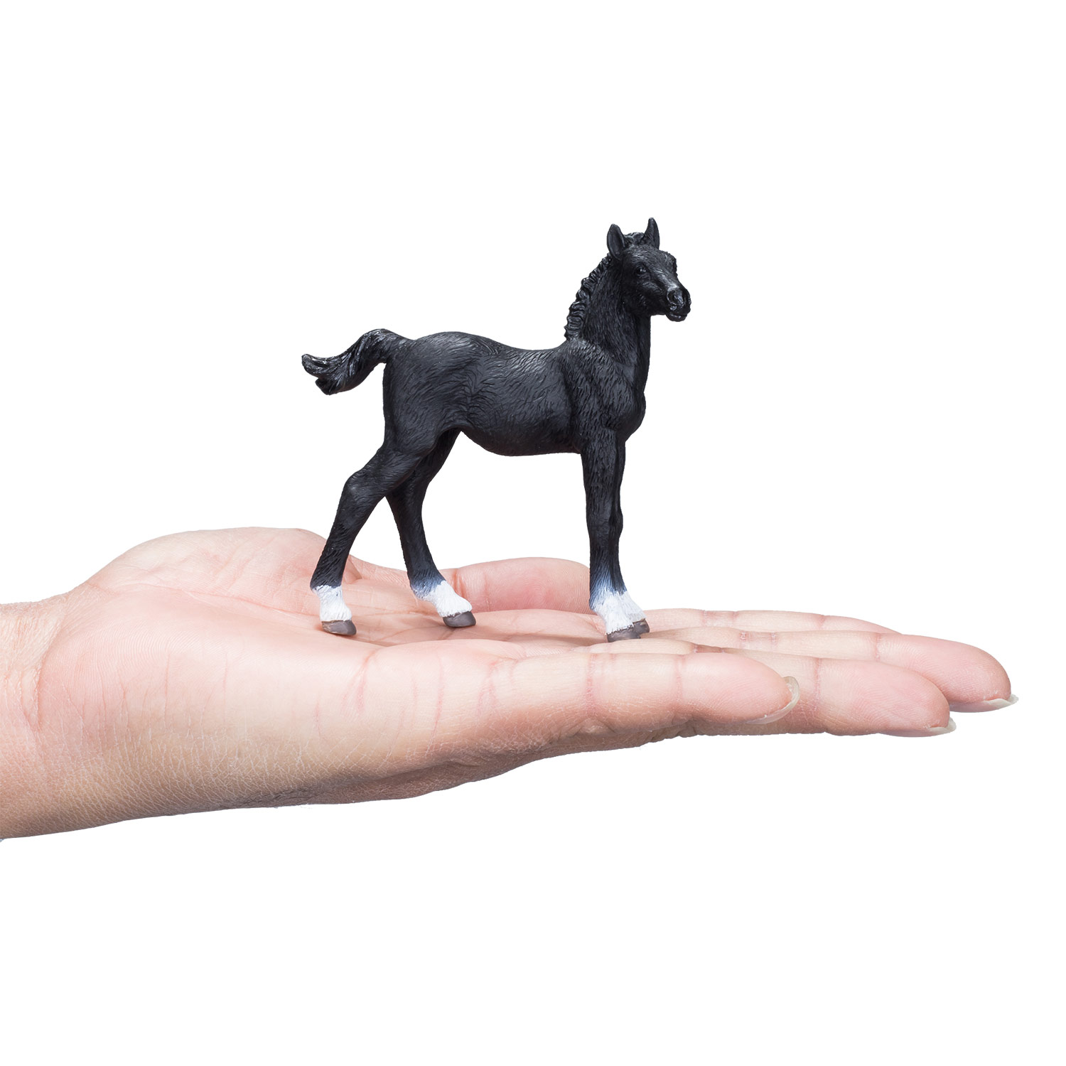 Mojo Horse World Hannoveraans Veulen Zwart - 381000