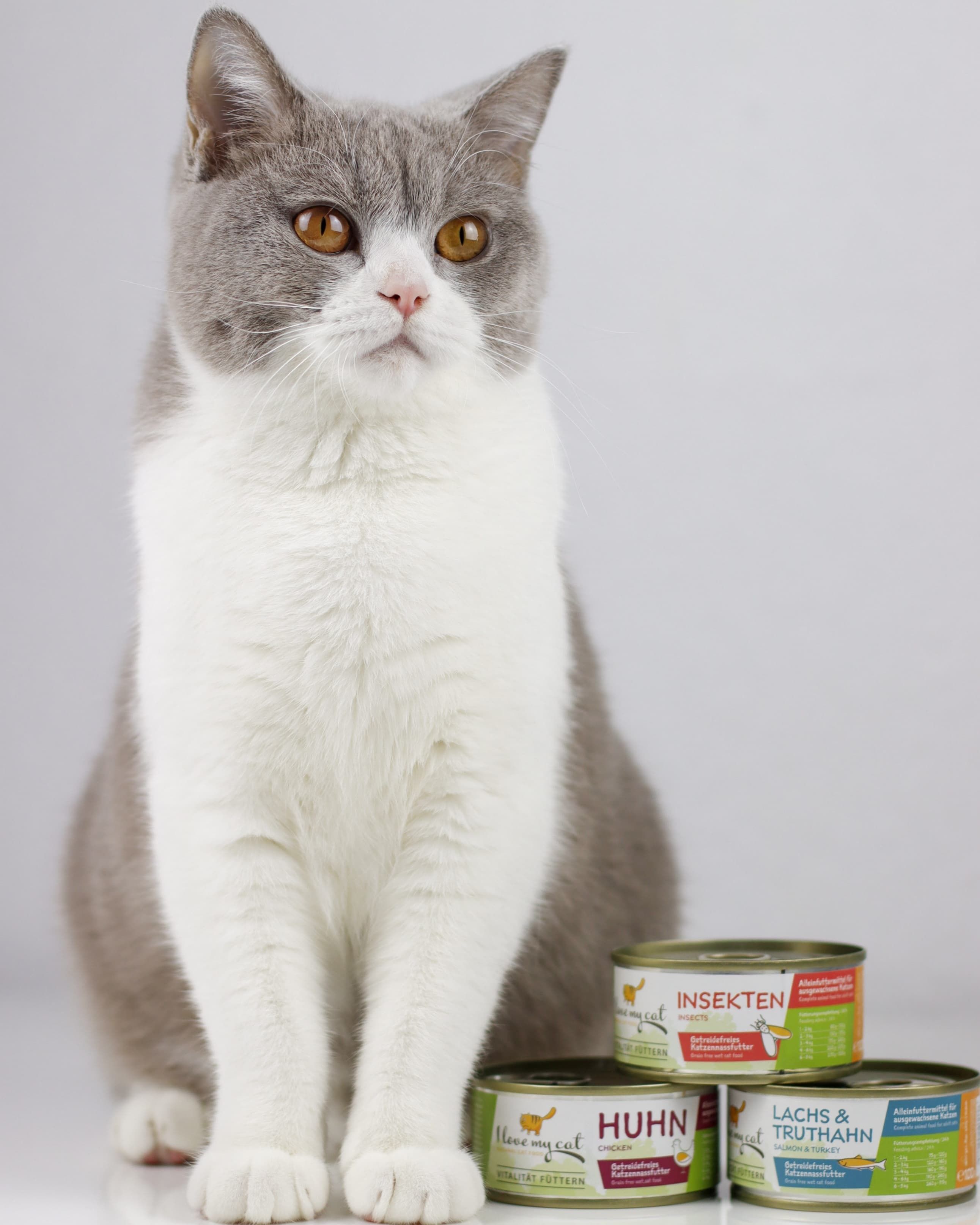 I love my cat Katzenfutter Nass mit Insekten