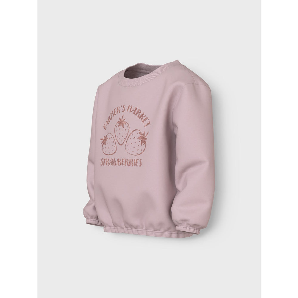 Køb Name It Burnished Lilac Strawberries Nmfviluba Ls Nreg Sweat Unb