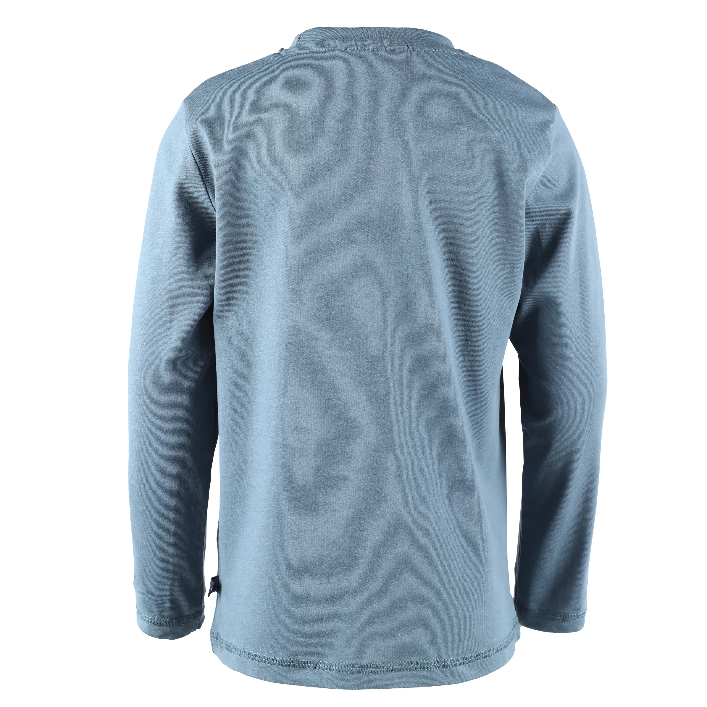 Jungen Longsleeve mit Dinoapplikation