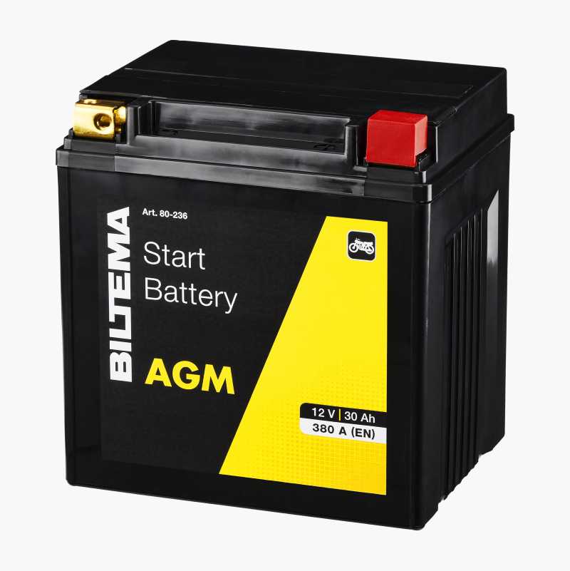 MC-batteri AGM, 12 V, 30 Ah, 167 x 126 x 176 mm