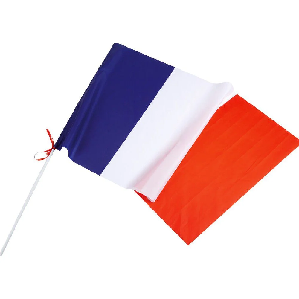 Drapeau France avec hampe en plastique