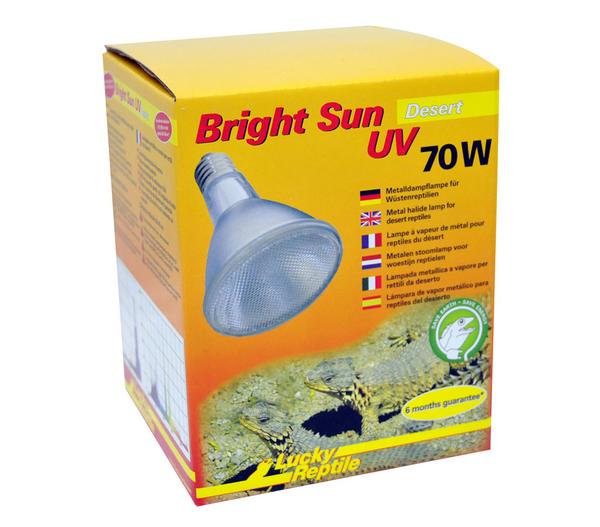 Lucky Reptile Bright Sun UV Desert
