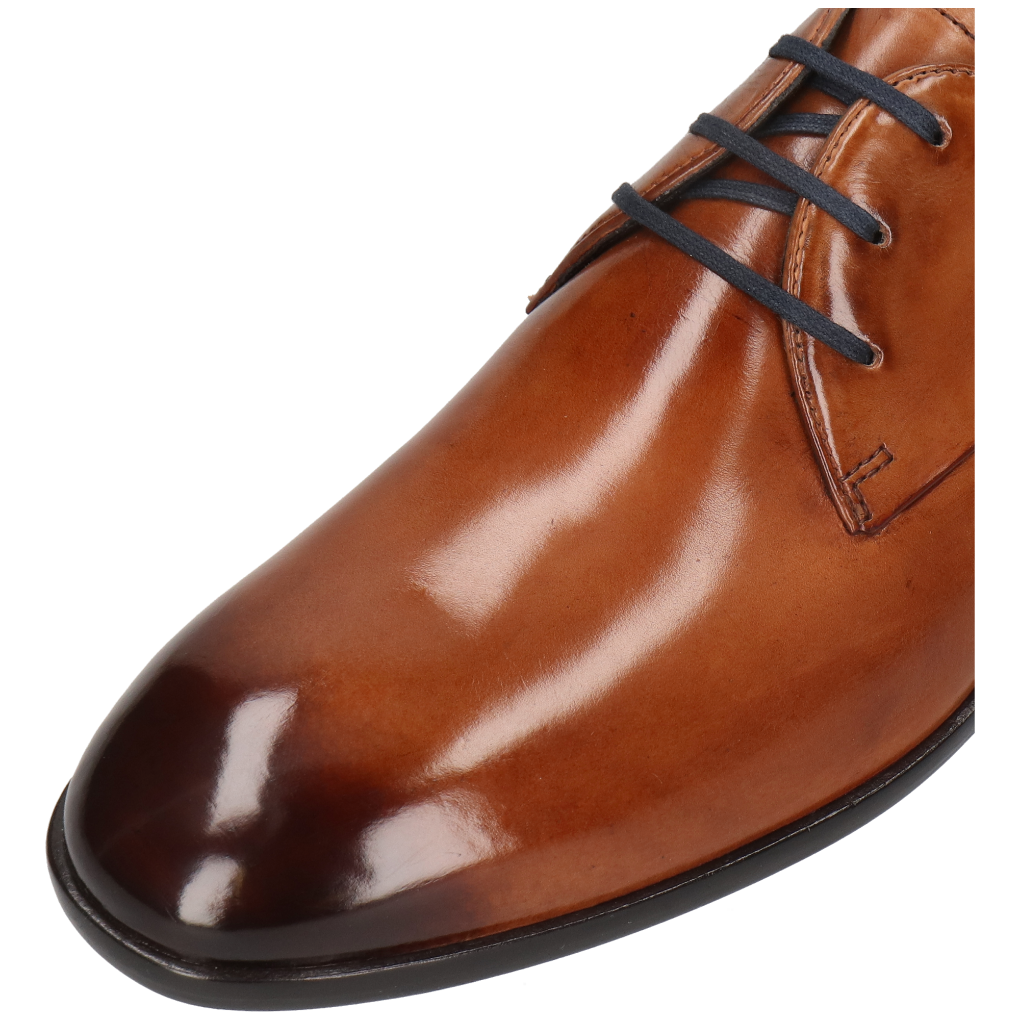 PRIMO 1 - Derbies en cuir | Marron