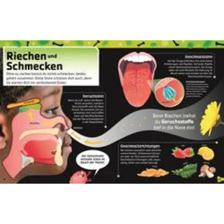 DK Verlag Superstark & superschlau. Superstarker Körper