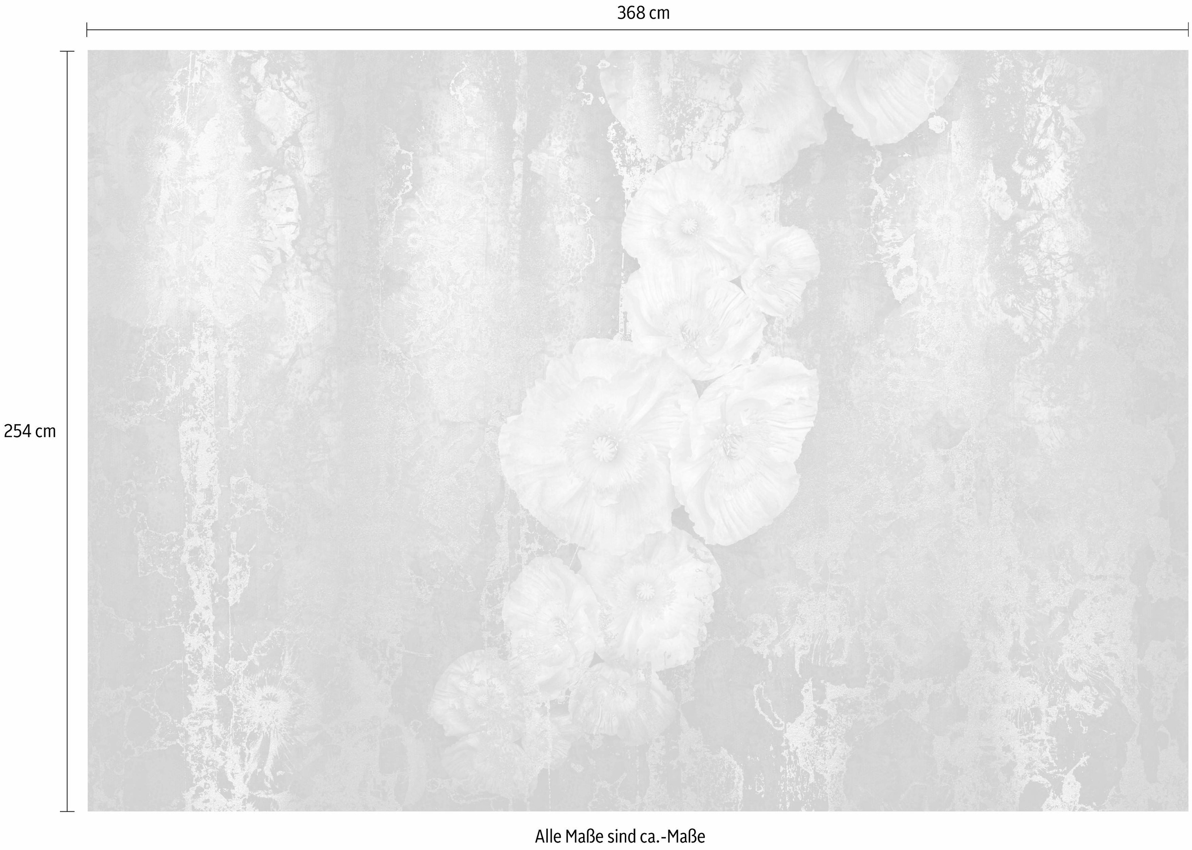 Komar Fototapete »Serafina - Grösse 368 x 254 cm« bedruckt glatt Wohnzimmer, Schlafzimmer