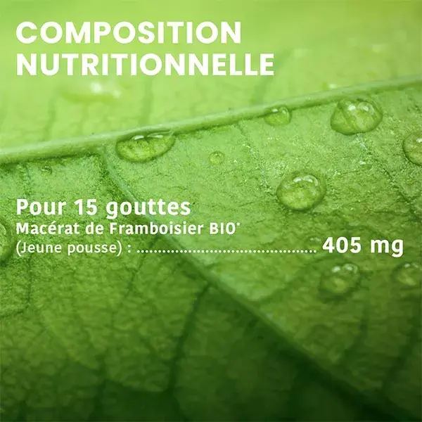 Santarome Orgânico - Broto de Framboesa Orgânico - Gemoterapia - Frasco de 30ml