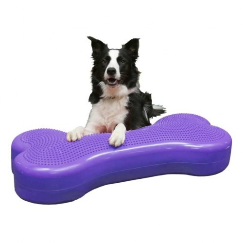 Plataforma de equilíbrio para animais de estimação roxa