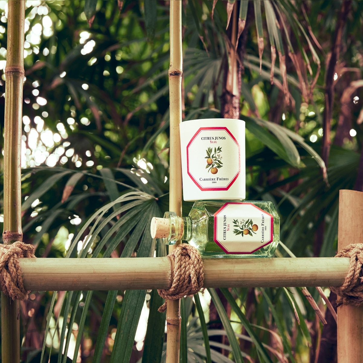 CARRIÈRE FRÈRES Yuzu - Citrus Junos Diffuseur de Parfum