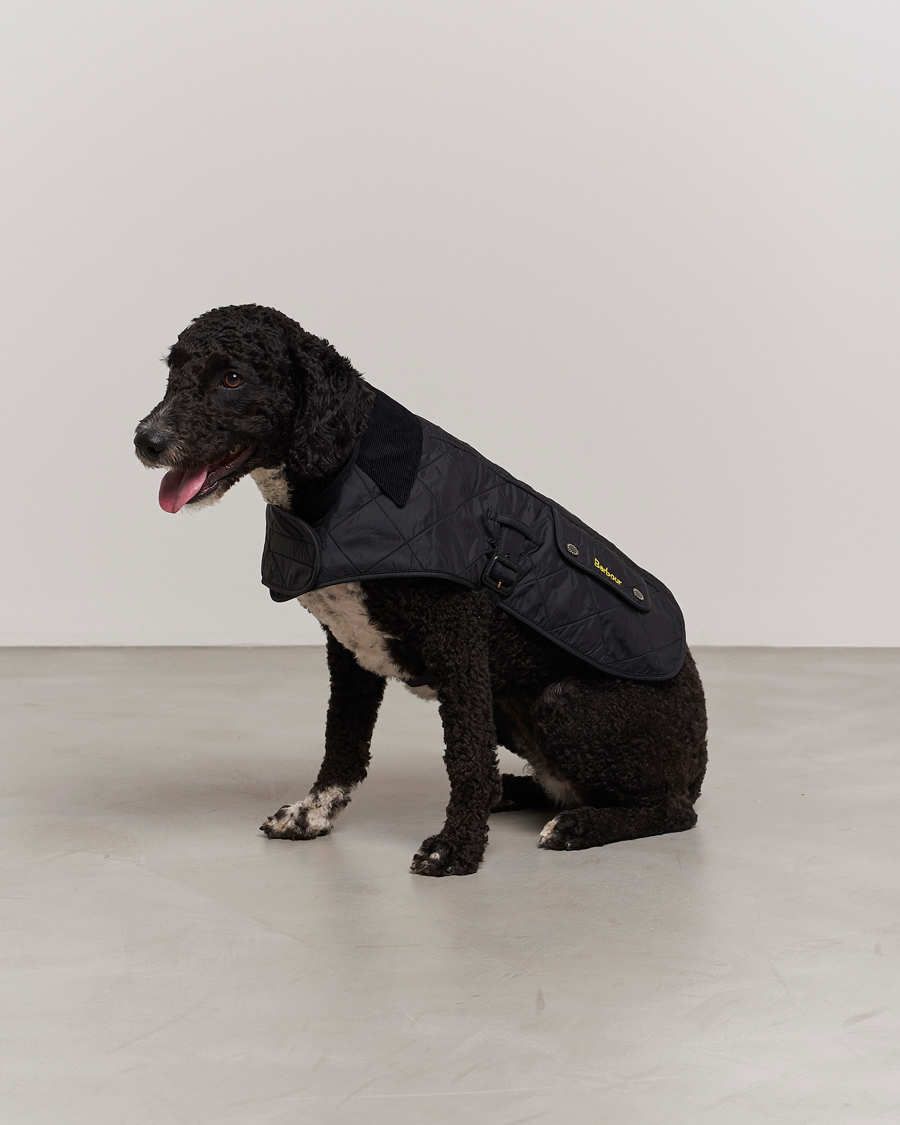 Barbour International Polar Dog Coat Black