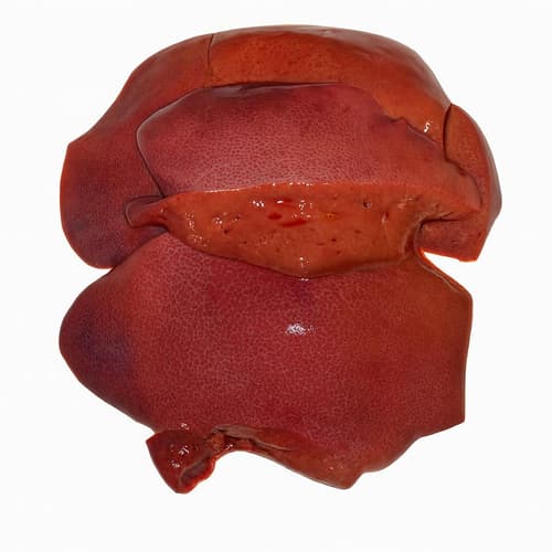 Landfleischerei Schmelzer Schweineleber